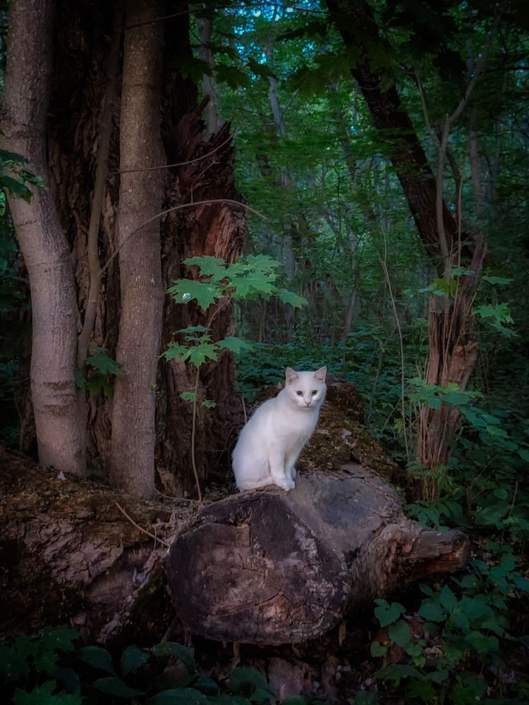 Photograph by Кондрашова Светлана