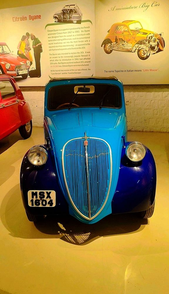 Photograph by Hassana