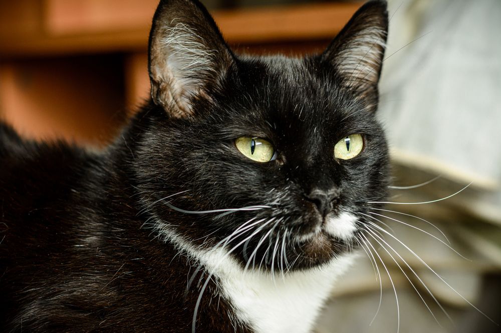 Photograph by Елена Берсенёва