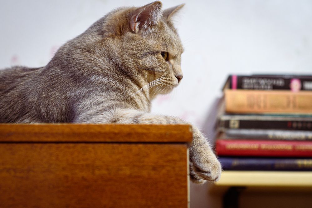 Photograph by Елена Берсенёва