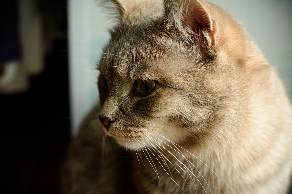 Photograph by Елена Берсенёва