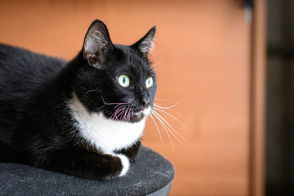 Photograph by Елена Берсенёва