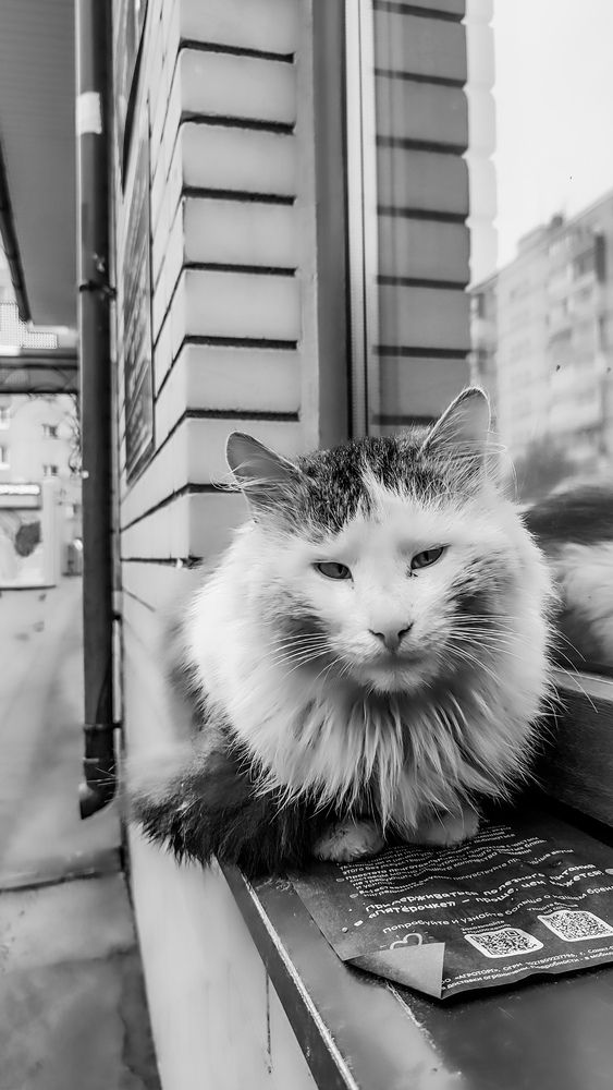 Photograph by Людмила Сергеева