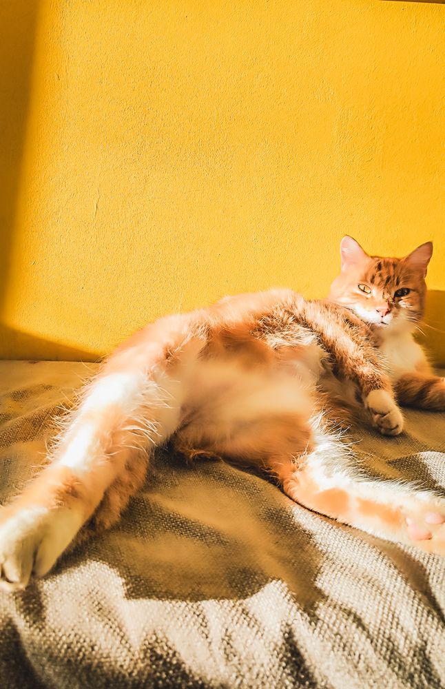 Photograph by Людмила Сергеева