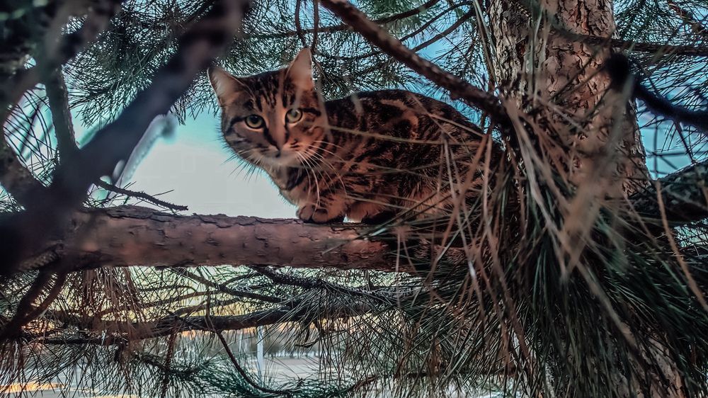 Photograph by Людмила Сергеева