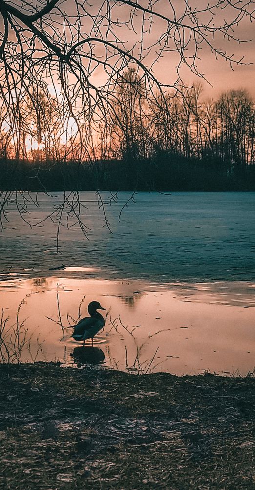 Photograph by Людмила Сергеева