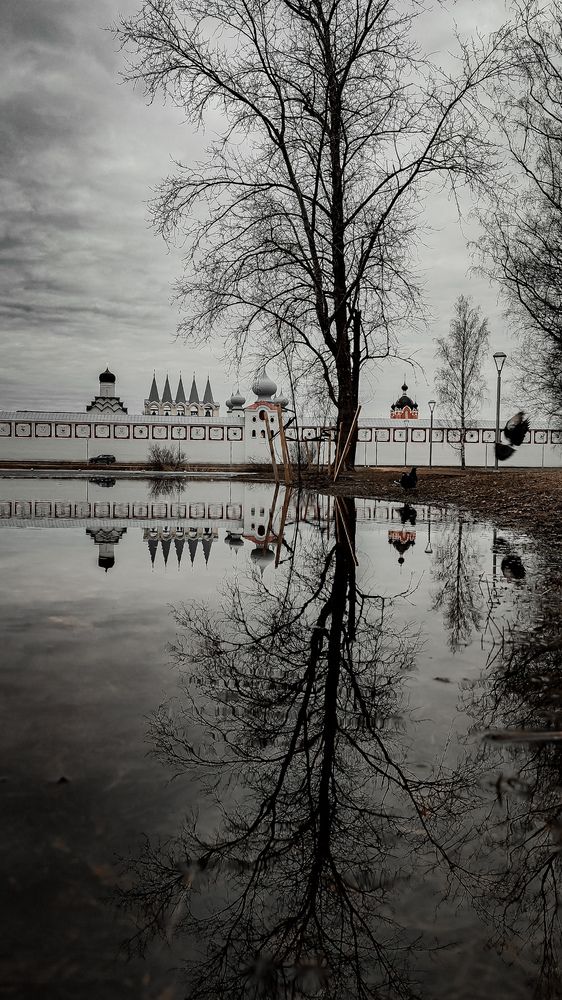 Photograph by Людмила Сергеева