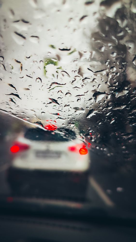 Photograph by Людмила Сергеева