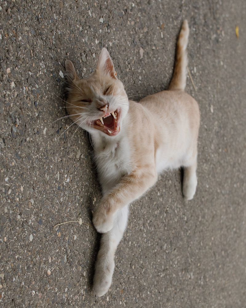 Photograph by Михаил Тоцкий