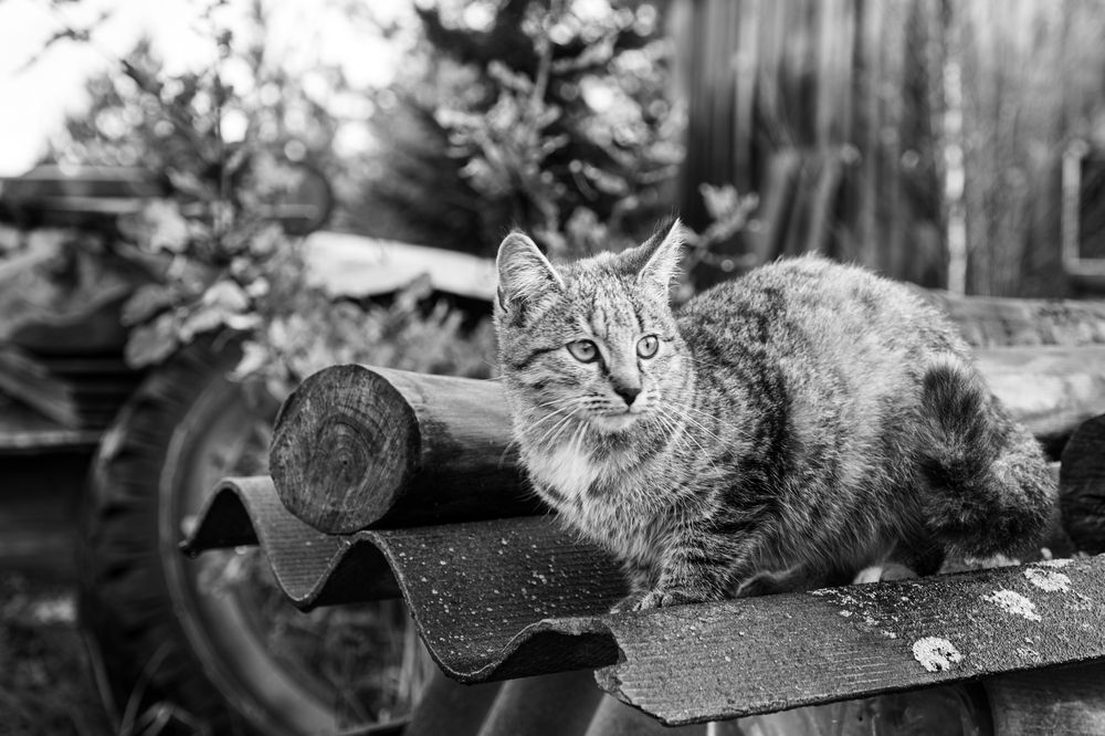 Photograph by Anastasia Vladimirovna