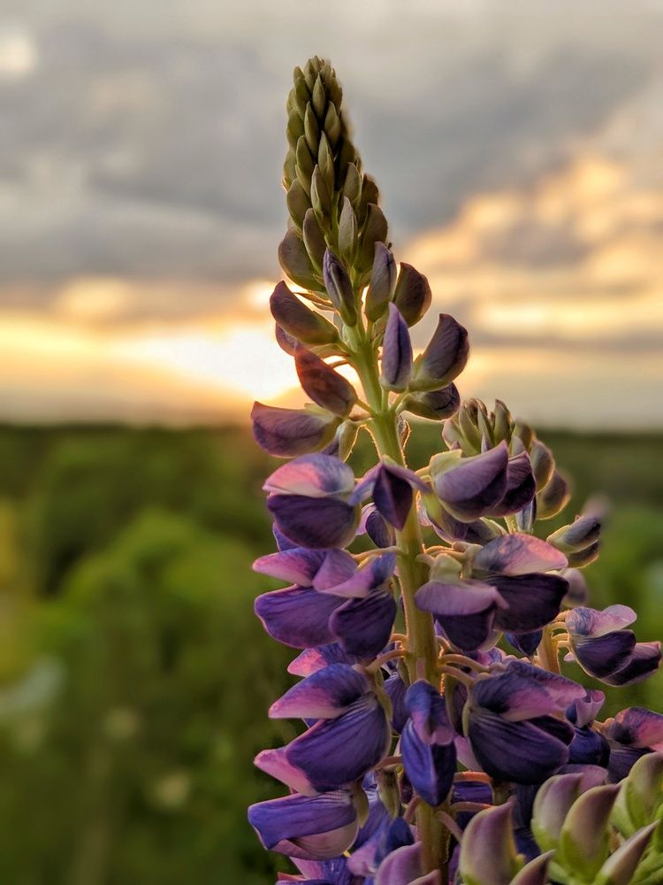 Photograph by Екатерина Чижевская