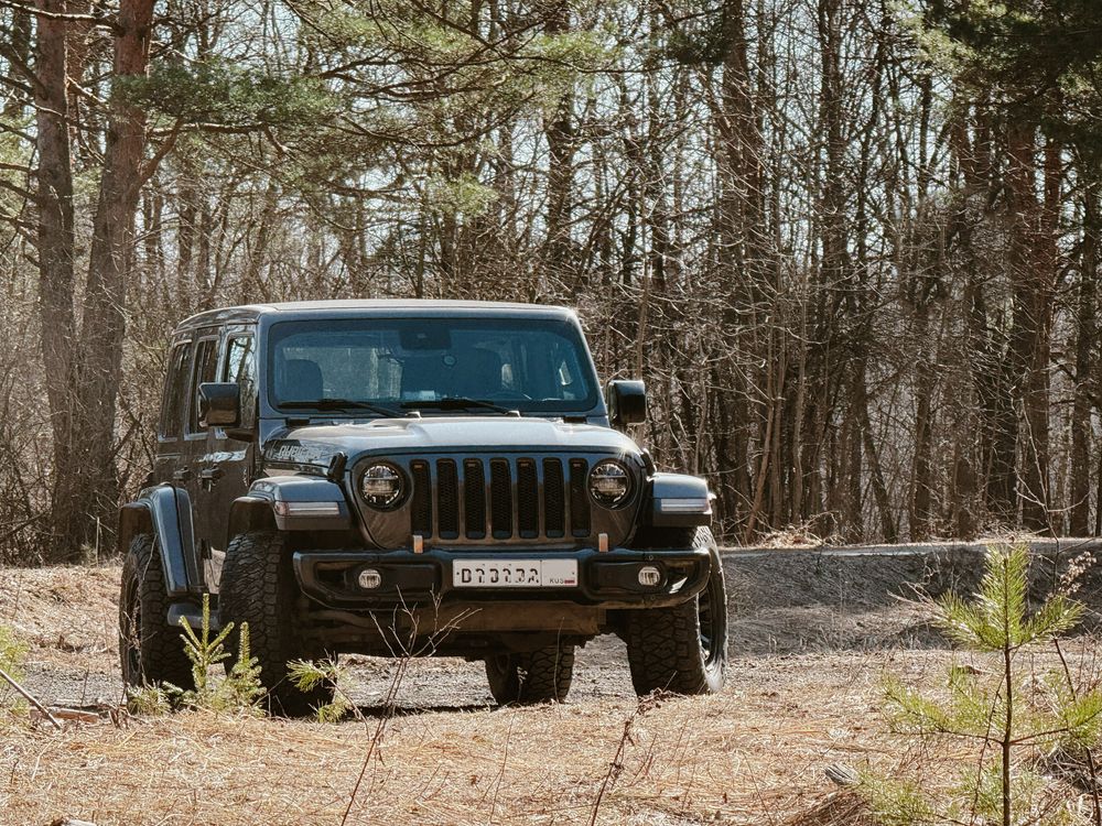 Фотография автора  Мария