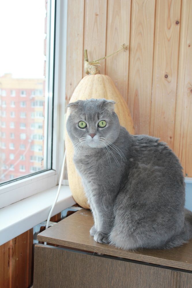 Photograph by Владимир Варава