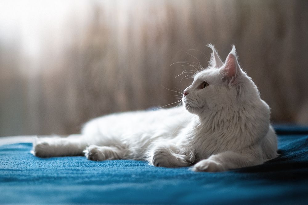 Photograph by Наталья Орел