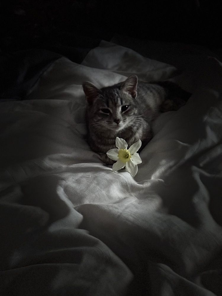 Photograph by Бойкова Наталия