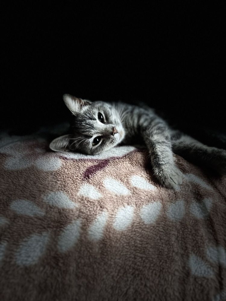 Photograph by Бойкова Наталия