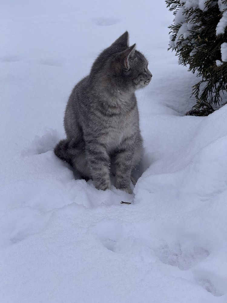 Photograph by Бойкова Наталия