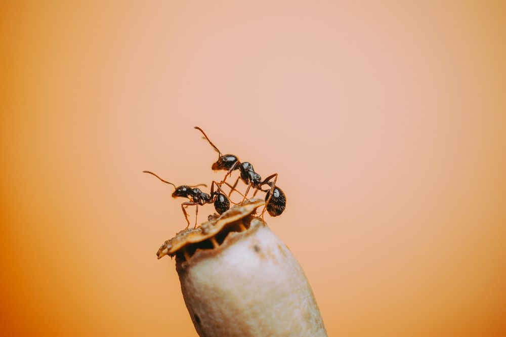 Photograph by Максим Юрлов