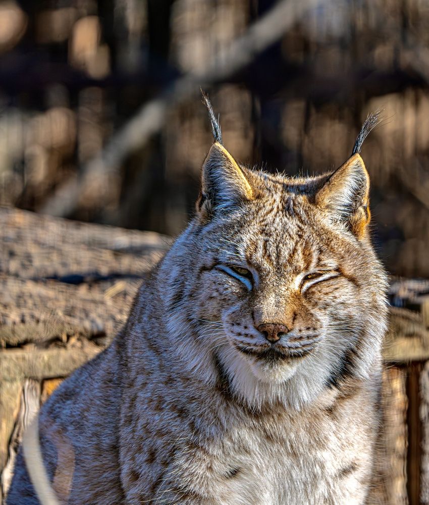 Photograph by Алексей Симонов