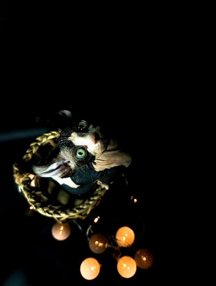 Photograph by Диана Бадеева