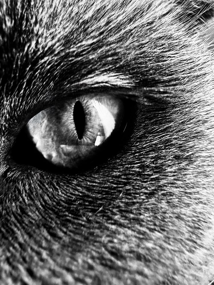 Photograph by Диана Бадеева