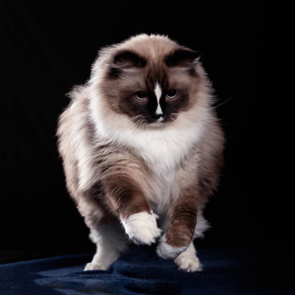 Фотография автора Наталья Якушонок