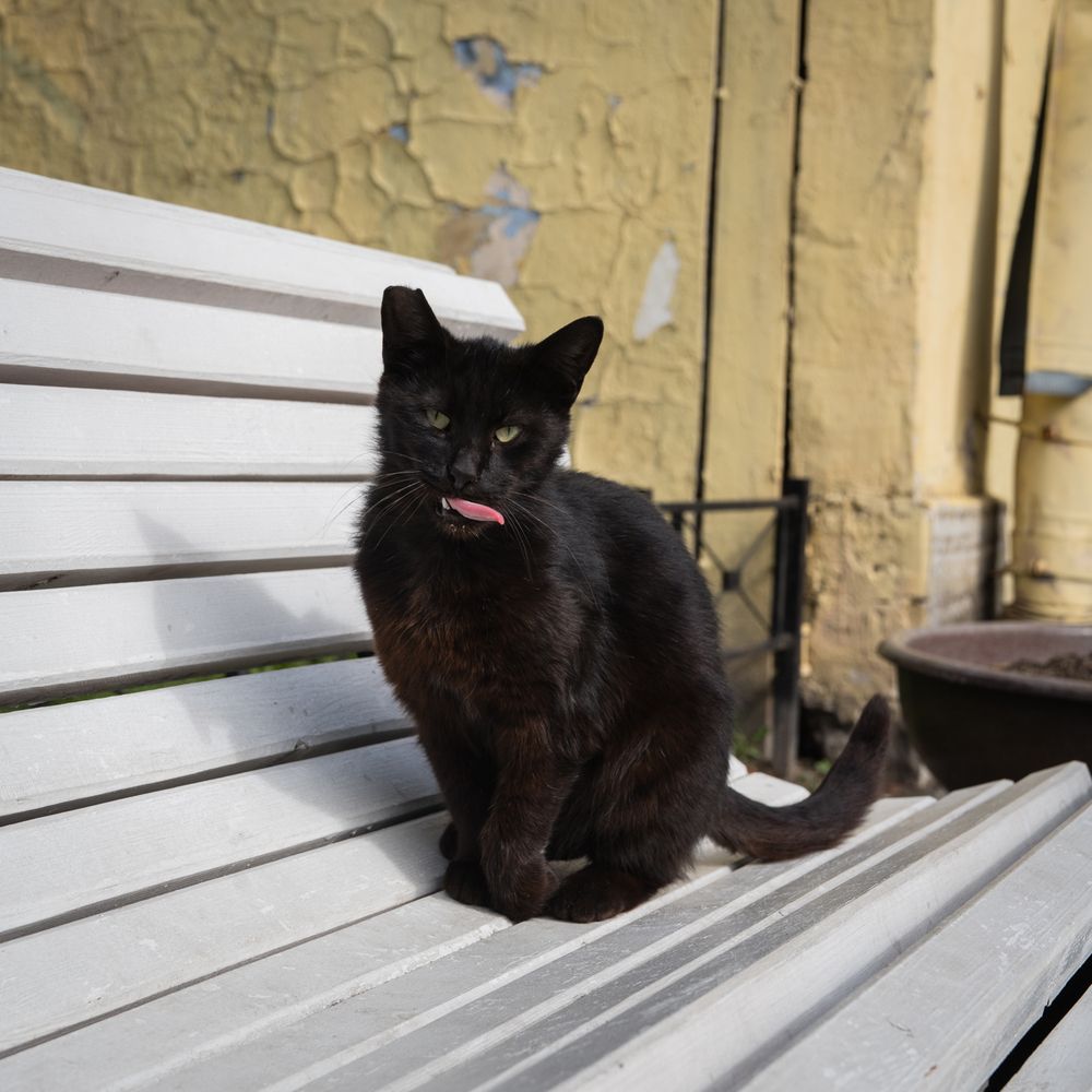 Фотография автора Erik