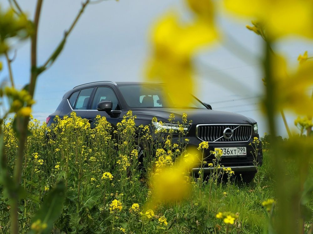 Фотография автора Мария Яковлева