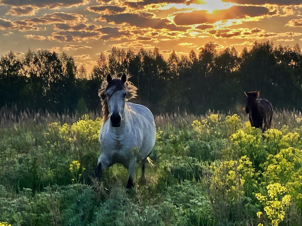Photograph by Мария Карпычева