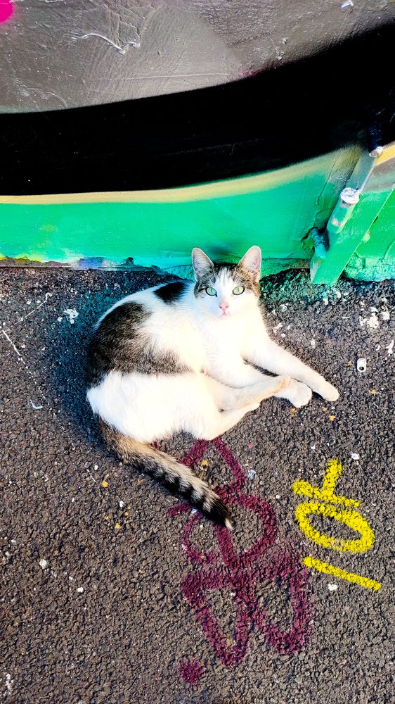 Photograph by Евгений Трипецкий