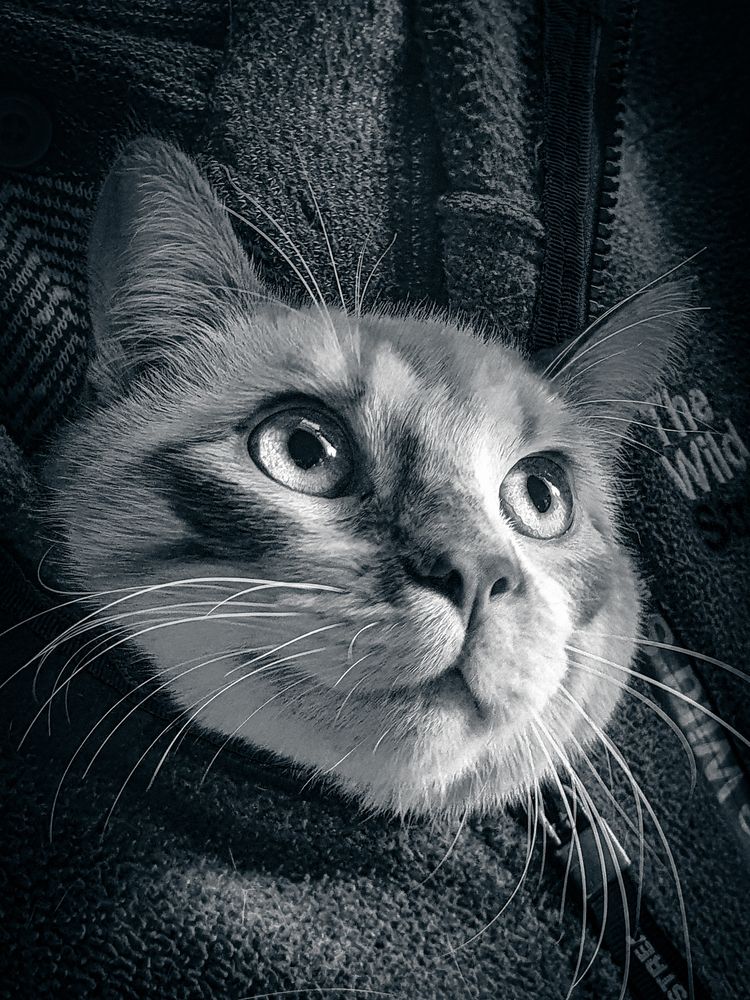 Photograph by Fábio Martins