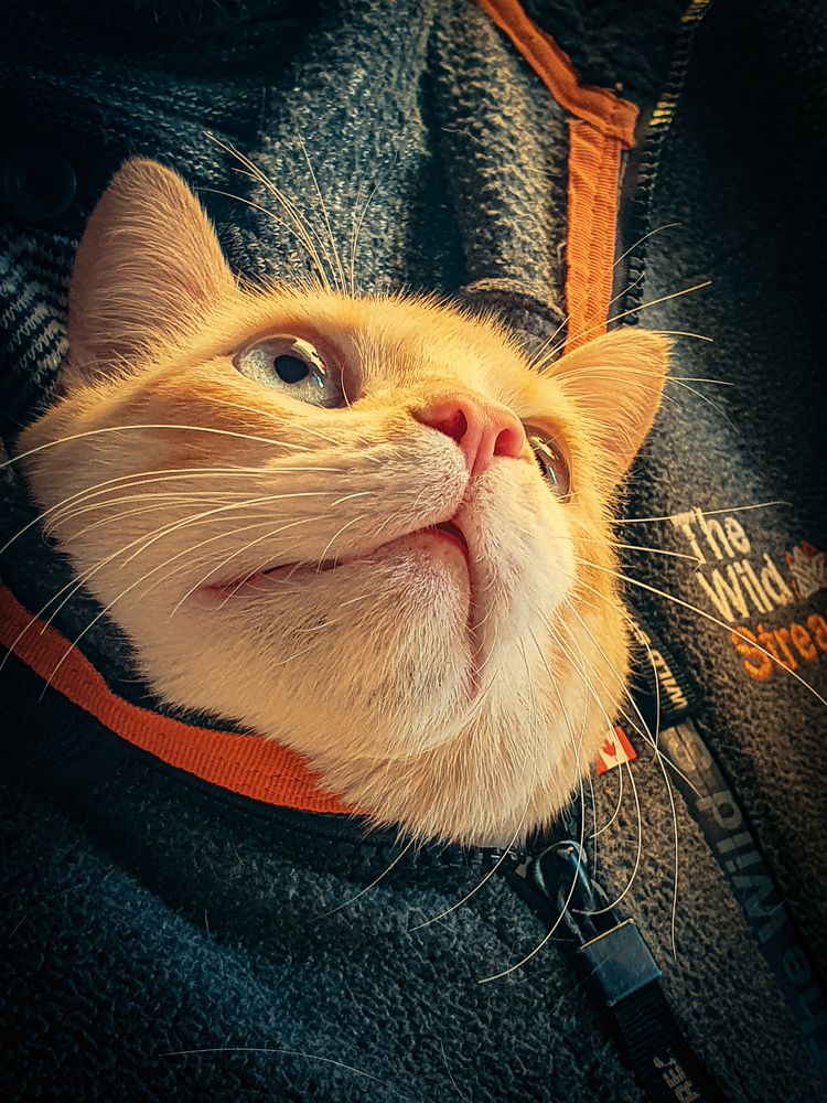 Photograph by Fábio Martins