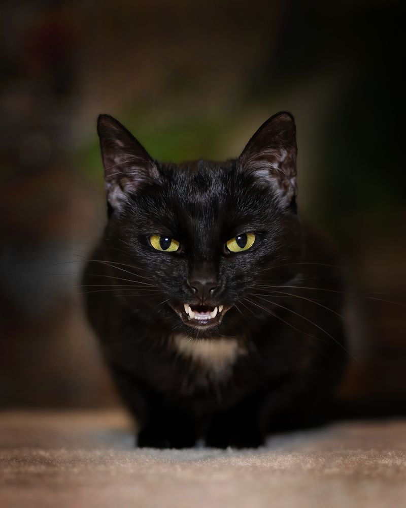 Photograph by Larianna Holm