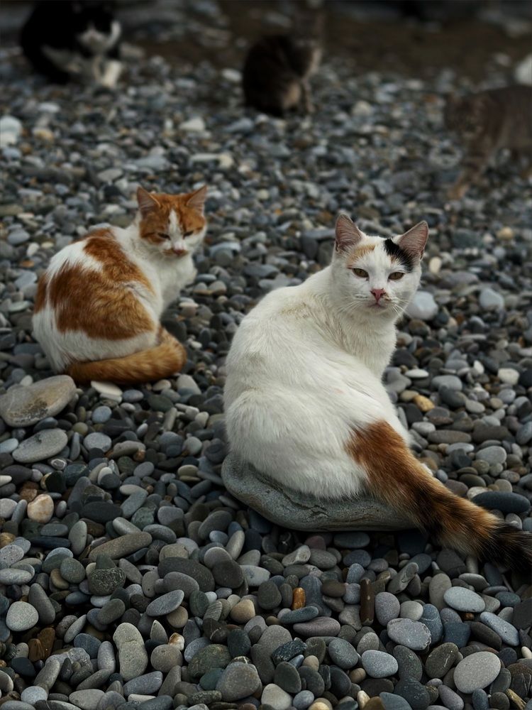 Фотография автора Татьяна Брык