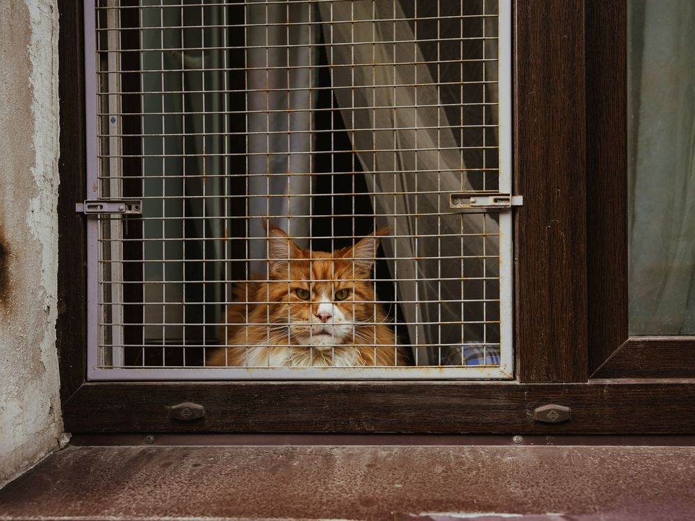 Фотография автора Татьяна Брык