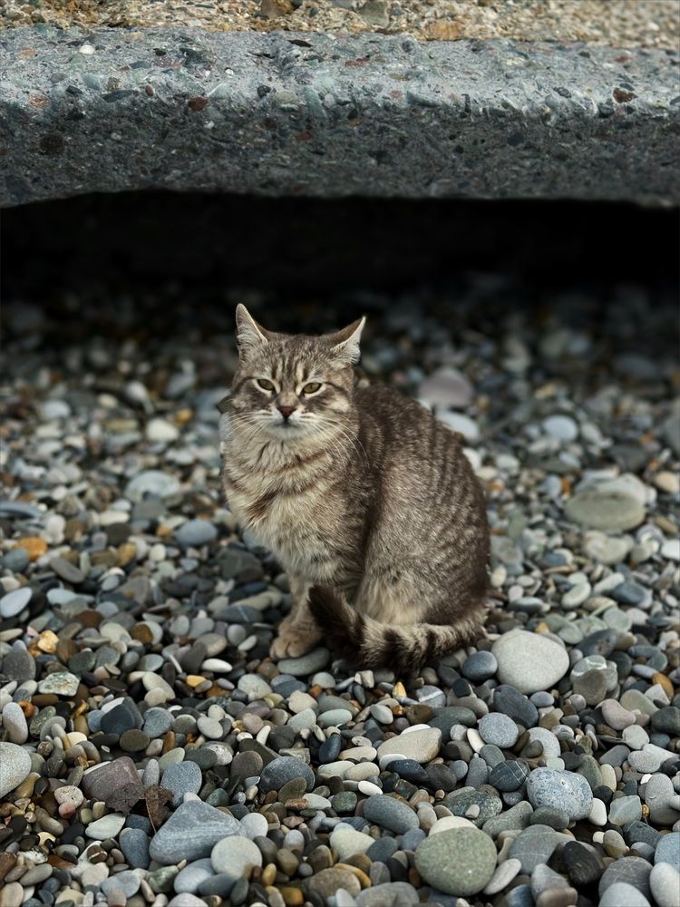 Фотография автора Татьяна Брык
