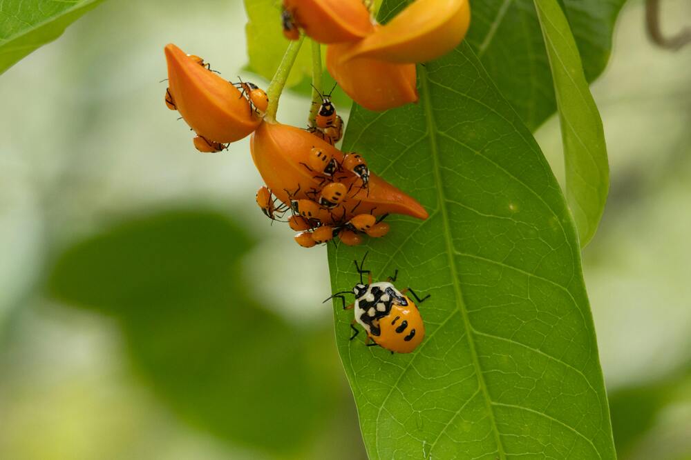Photograph by Hamed Shahrokhi