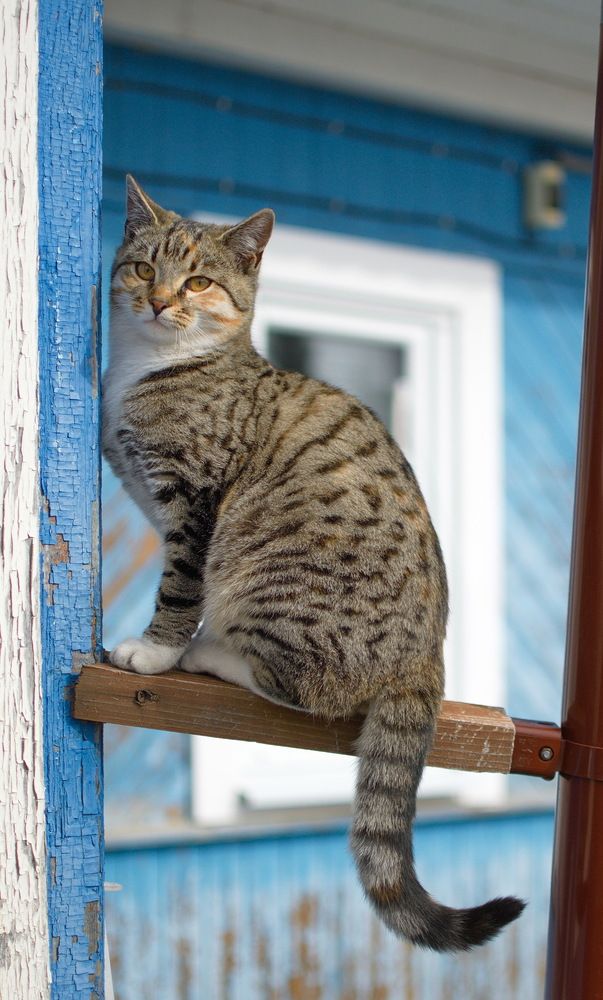 Photograph by Сергей Булат