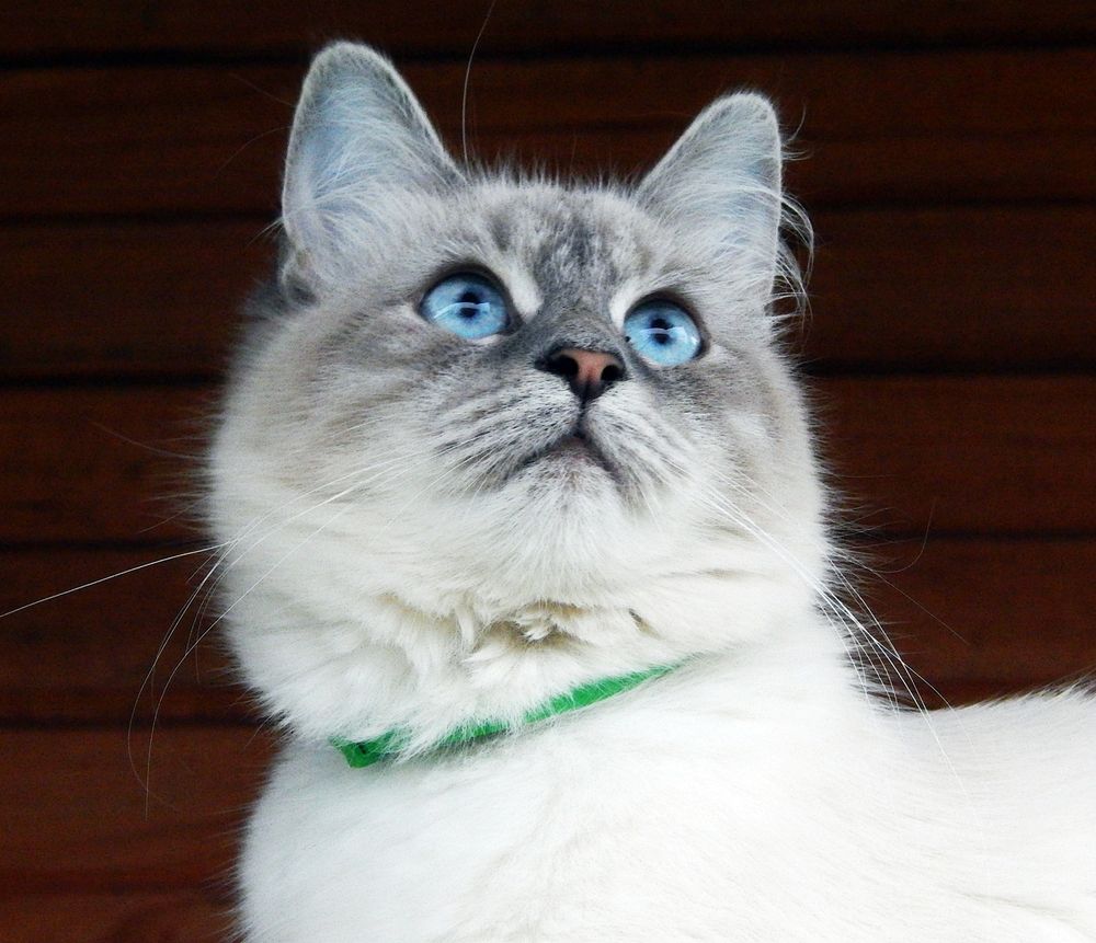 Photograph by Юрий Пучков