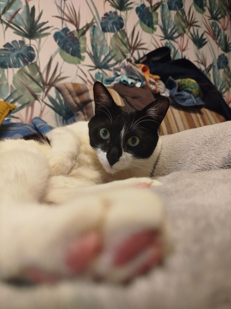 Photograph by Евгения Семёнова