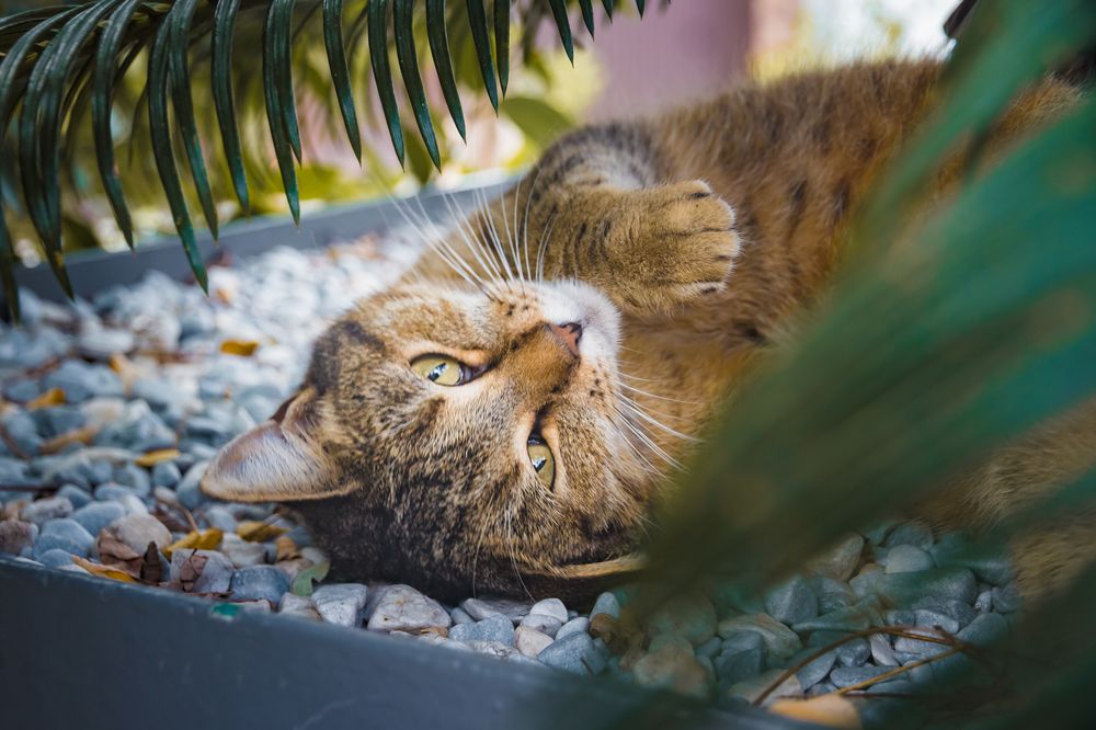 Photograph by Полина