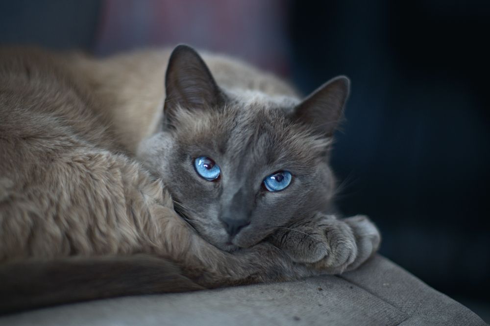 Photograph by Вячеслав Ват