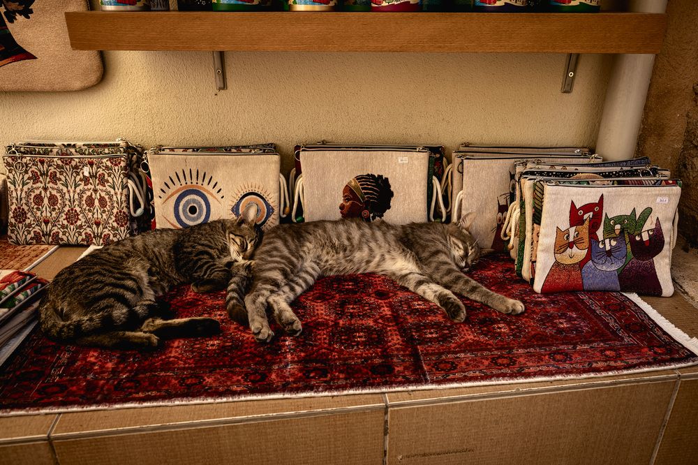 Photograph by Вячеслав Ват