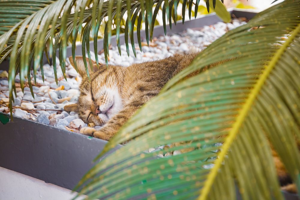 Photograph by Полина