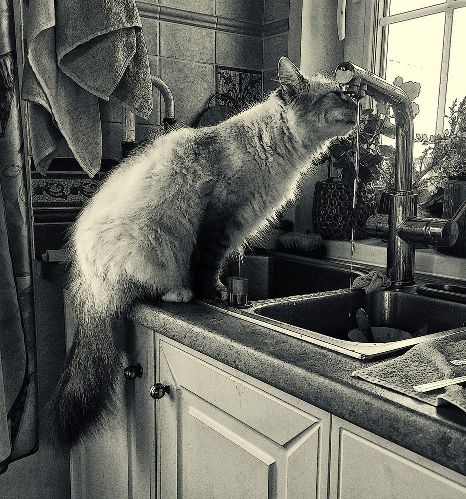 Photograph by Феофанов Николай