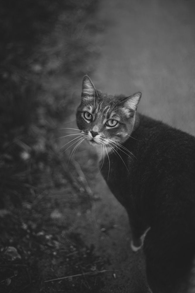 Photograph by Света Вирбицкас