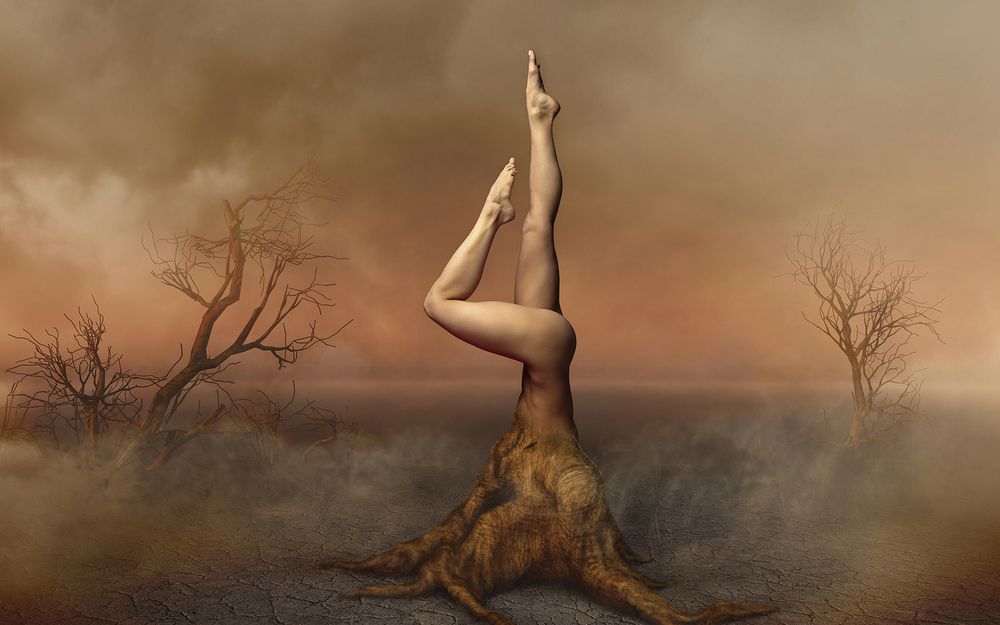 Photograph by Po Leen