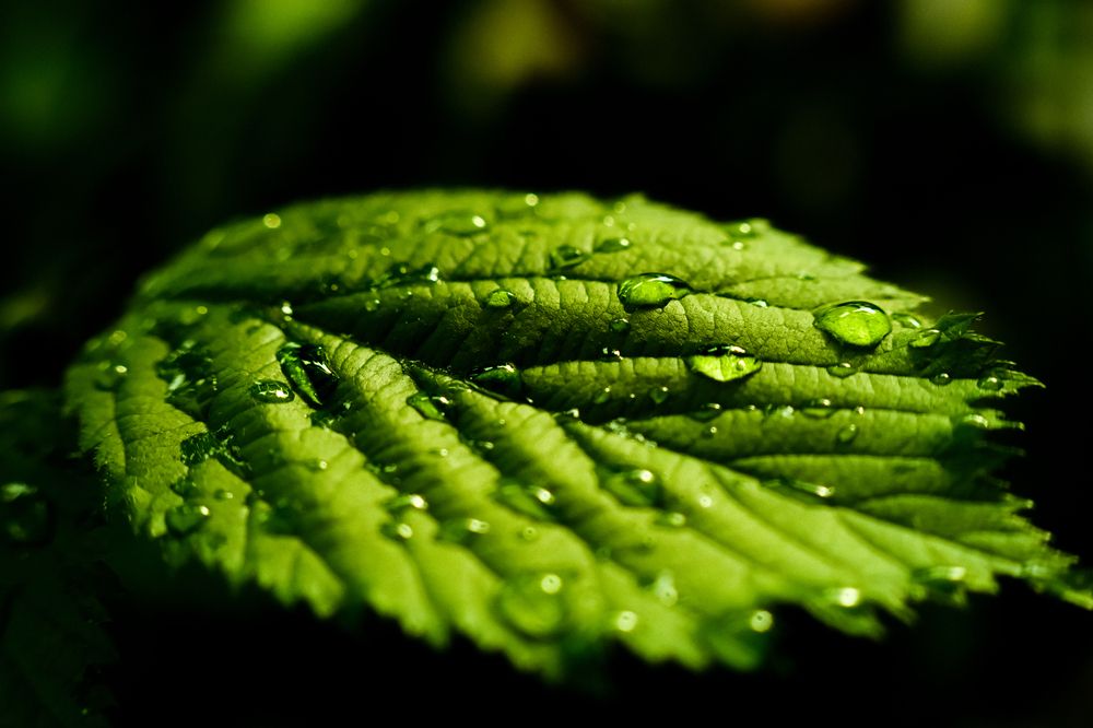 Photograph by Denis Naryshev