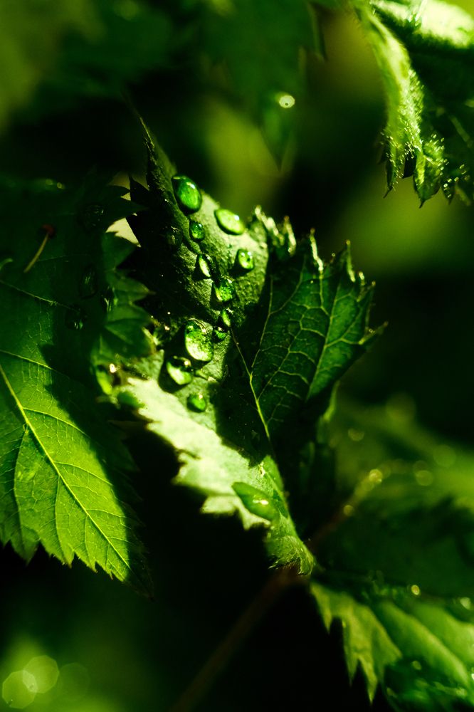 Photograph by Denis Naryshev