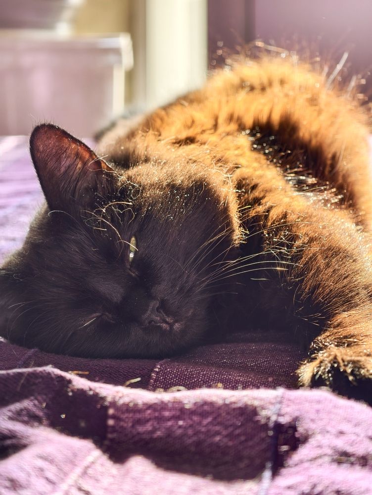 Photograph by Pavel Ivshin